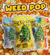 WEED POP